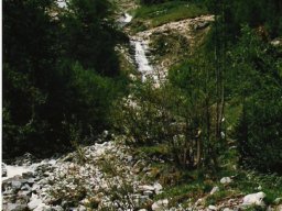 1986 Mont Brule